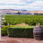 Barossa Wine Region