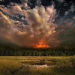 fire and desolation
