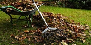 Garden Organised and Tidy