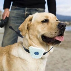 Ultrasonic Bark Collar