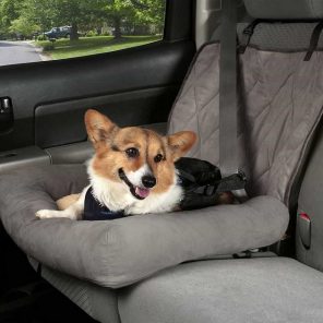 pet travel supply
