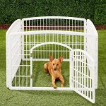 dog inside his playpen outdoor in the garden