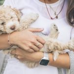 picture of a person holding a dog on a leash