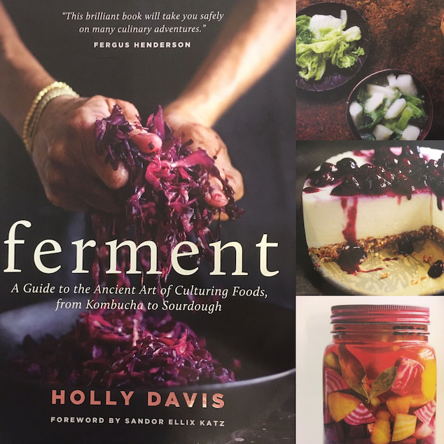 Ferment - A Guide to the Ancient Art of Culturing Foods book by Holly Davis