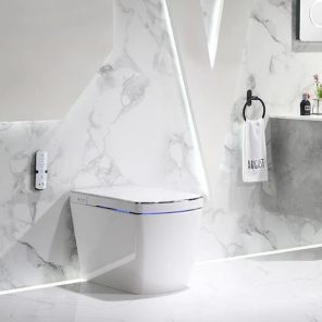 smart toilets