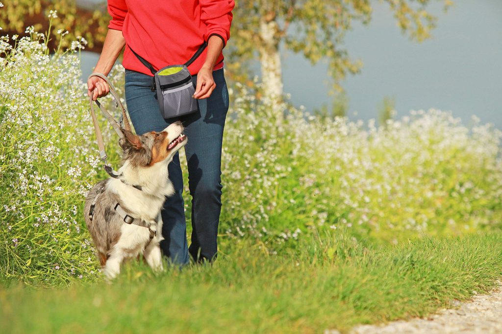 a woman with a treat bag walking her dog