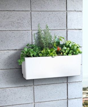self watering pots