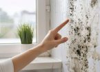 ways-to-remove-mould