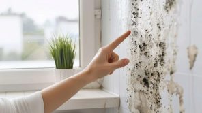ways-to-remove-mould